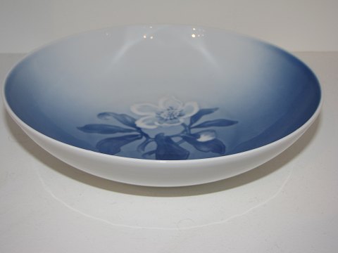 item no: 107630