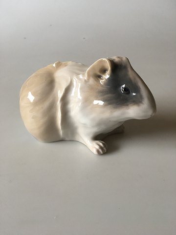 Royal Copenhagen Figur af Marsvin No. 503