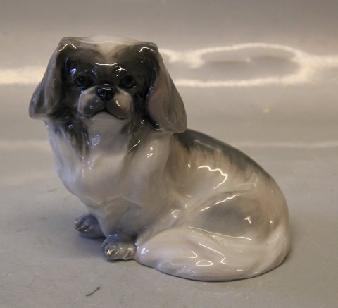 Sjælden Hund Kongelig Dansk 1772 Kgl. Pekingeser 12 x 12 cm 1452 Variation Peter 
Herold