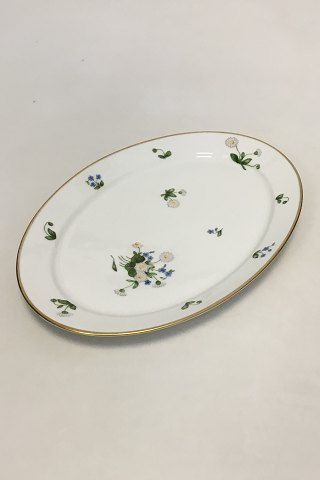 Royal Copenhagen Bellis og Følfod Ovalt fad No 9009