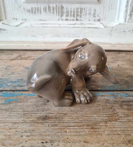 Royal Copenhagen figure Dachshund puppy no.