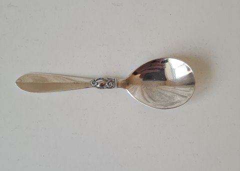 Princess marmalade spoon in silver