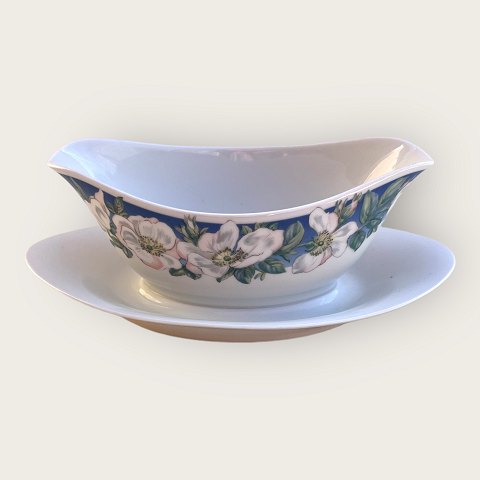 Royal C: White Wild Rose