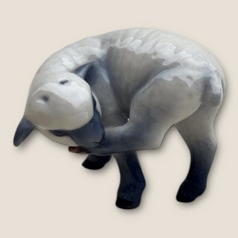 main