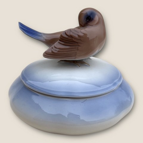 item no: 600530