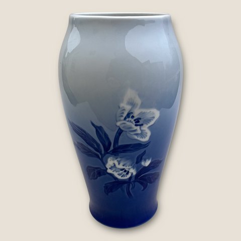 item no: 608999