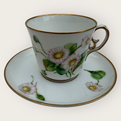 item no: 618800