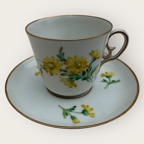 item no: 618802