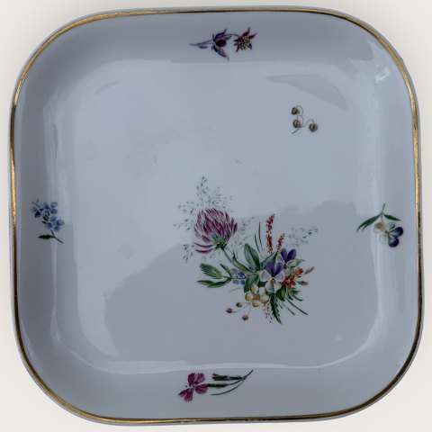 Royal C: Primavera