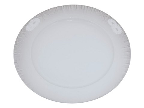 Midsummer Night's Dream