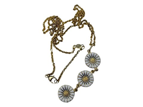 Marguerit<br>Daisy