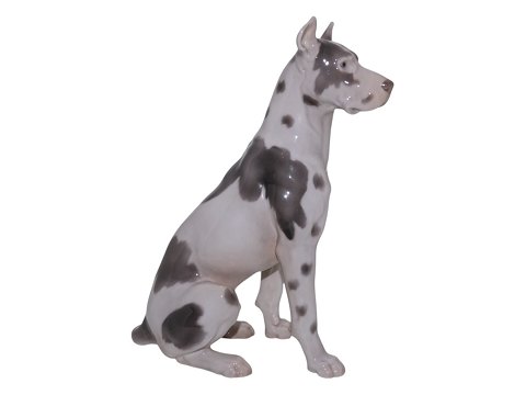 Hunde<br>Royal ...
