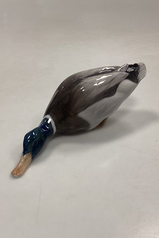 Royal Copenhagen Figur af Gråand No. 1934