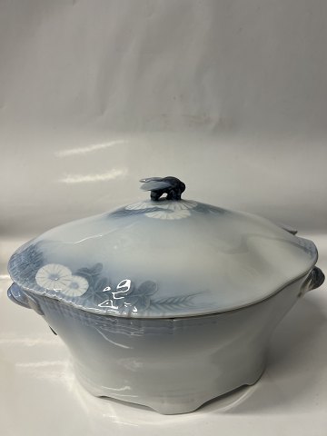 item no: 641857