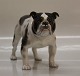 B&G Dog Figurine
B&G 2082 English  Bulldog ca. 14 x 22 cm