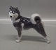 Kongelig Dansk 
0353 Kgl. Siberisk Husky/Spitz 14 x 16 cm  1244 0038