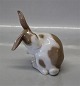 Royal Copenhagen figurine 
B&G 1833 Loop eared Rabbit 11 cm Dahl Jensen