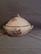 latest
new item latest
new item