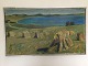 emne nr: 
296594