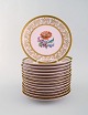 item no:
393600 item no:
393600