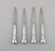 item no:
397304 item no:
397304