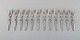 item no:
401792 item no:
401792