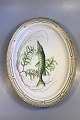 Danam Antik 
presents: 
Royal 
Copenhagen 
Flora Danica 
Oval Fish Tray 
No 3520