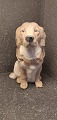 5136 Royal Copenhagen Figur Golden Retriever