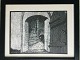 emne nr:
437647