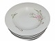 Cyclamen
Large soup 
plate 24 cm.