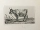 emne nr:
467905