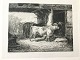 emne nr:
467907