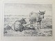 emne nr:
467917