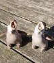 B&G Denmark stoneware figurine No 1852, Sparrow, fledgling.