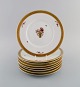item no:
484662 item no:
484662