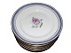 Blue Edge and 
Flowers
Dinner plate 
23.0 cm.