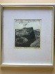 emne nr:
498458