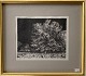 Palle NielsenEngraving