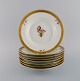 item no:
501781 item no:
501781