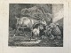 emne nr:
503832