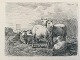emne nr:
503833