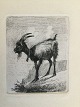 emne nr:
503835