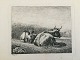 emne nr:
503843