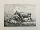 emne nr:
503845