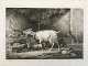 emne nr:
503848