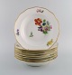 item no:
505174 item no:
505174