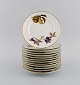 item no:
507203 item no:
507203