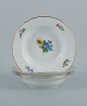 item no:
523102 item no:
523102