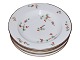 Barberry
Small soup 
plate 21 cm.