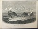 emne nr:
537344